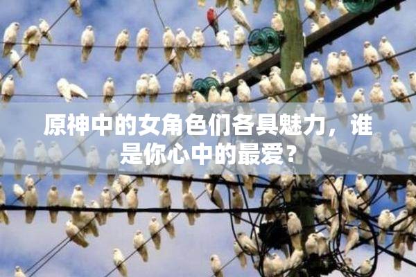 原神中的女角色们各具魅力，谁是你心中的最爱？