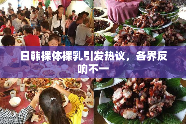日韩裸体裸乳引发热议，各界反响不一