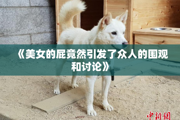 《美女的屁竟然引发了众人的围观和讨论》