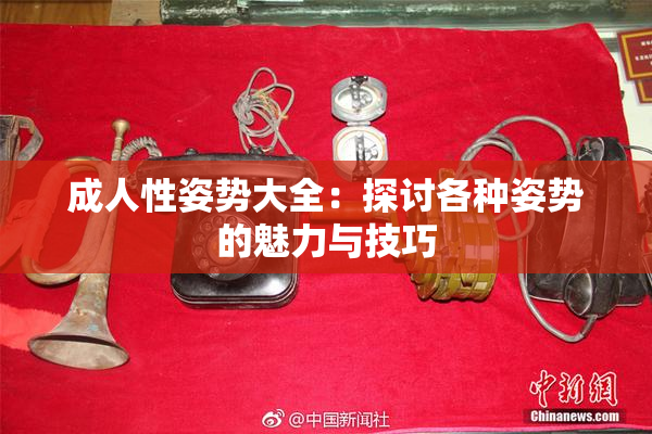 成人性姿势大全：探讨各种姿势的魅力与技巧