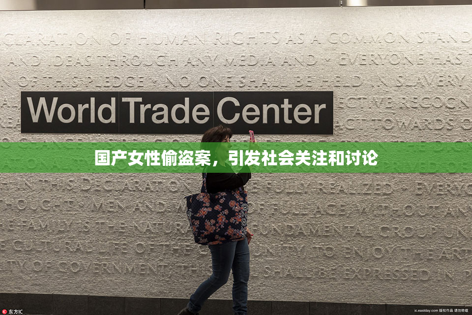国产女性偷盗案，引发社会关注和讨论