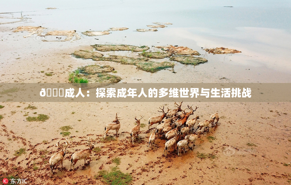 🔞成人：探索成年人的多维世界与生活挑战