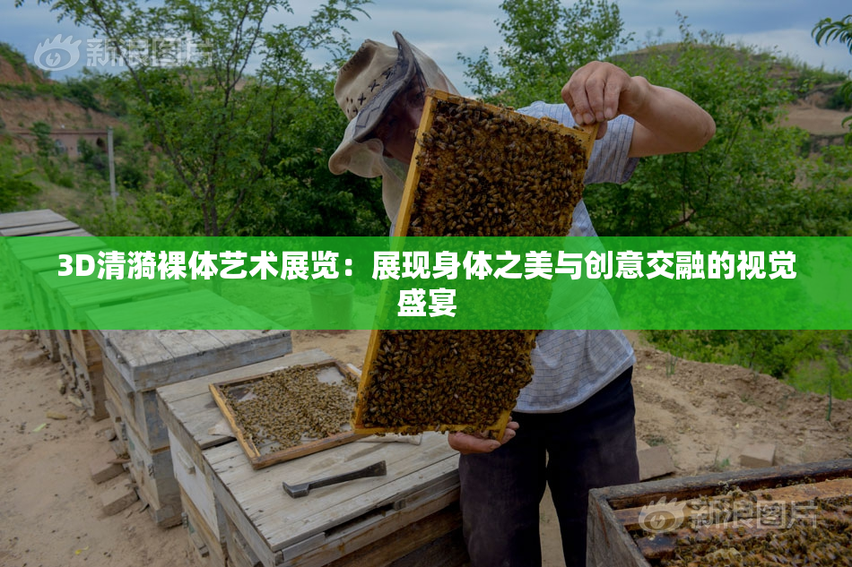 3D清漪裸体艺术展览：展现身体之美与创意交融的视觉盛宴