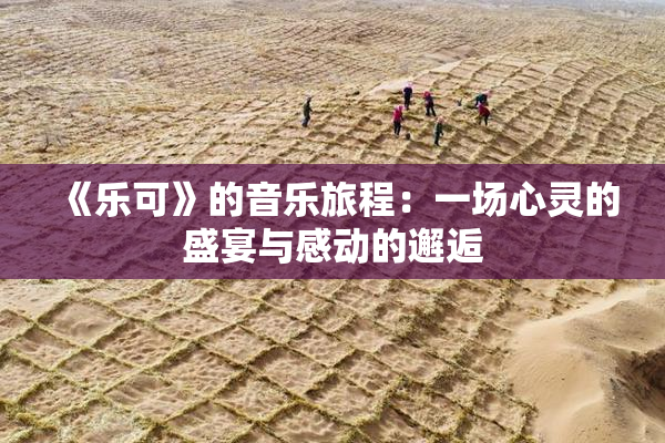 《乐可》的音乐旅程：一场心灵的盛宴与感动的邂逅
