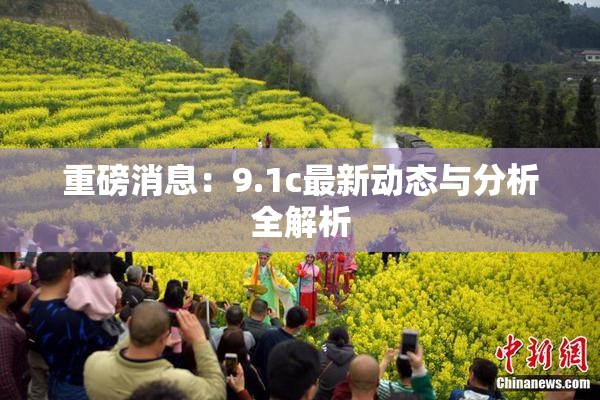 重磅消息：9.1c最新动态与分析全解析