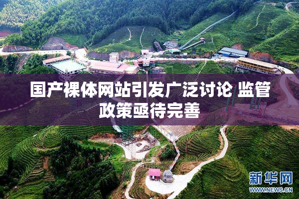 国产裸体网站引发广泛讨论 监管政策亟待完善