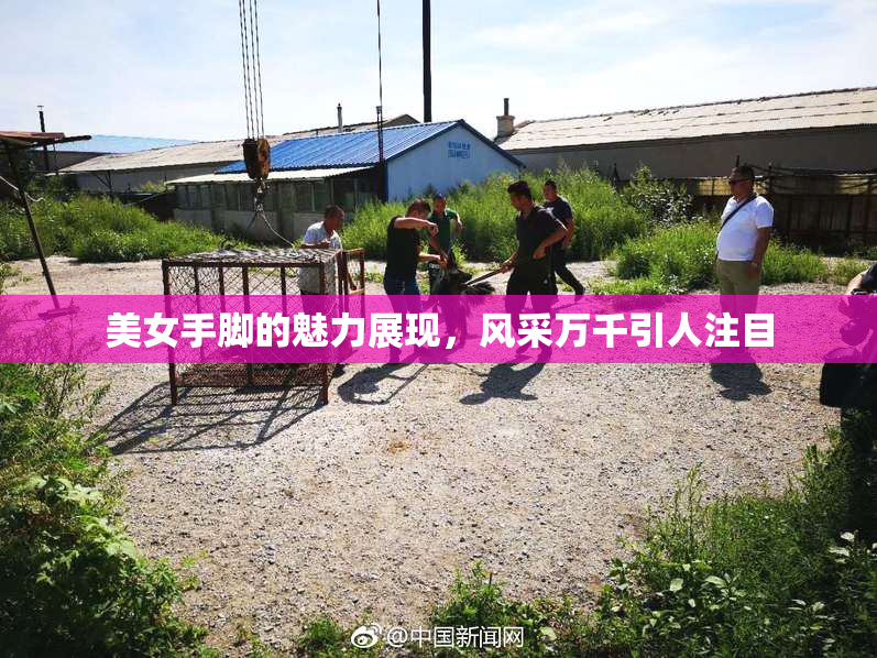 美女手脚的魅力展现，风采万千引人注目