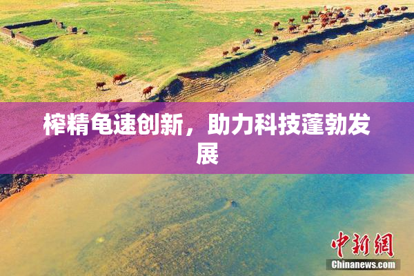 榨精龟速创新，助力科技蓬勃发展