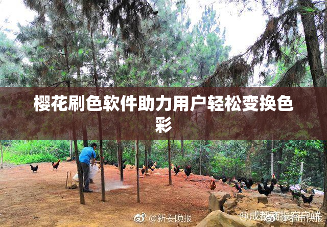 樱花刷色软件助力用户轻松变换色彩