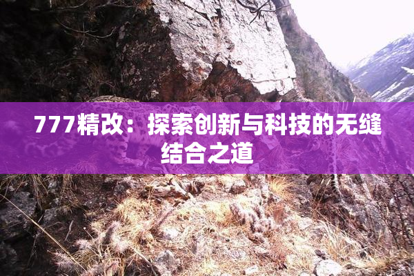 777精改：探索创新与科技的无缝结合之道
