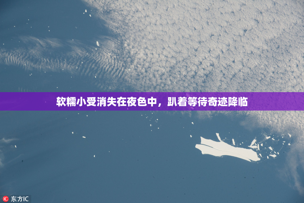 软糯小受消失在夜色中，趴着等待奇迹降临