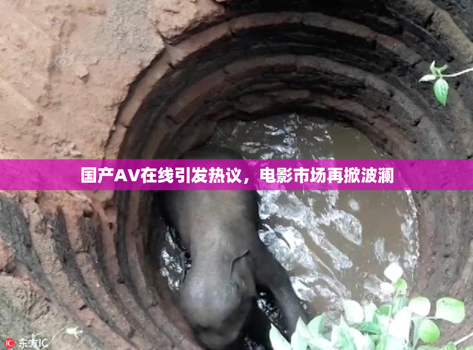 国产AV在线引发热议，电影市场再掀波澜