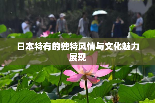 日本特有的独特风情与文化魅力展现