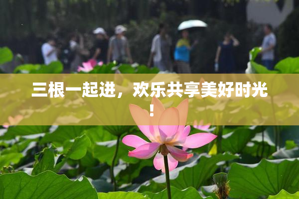 三根一起进，欢乐共享美好时光！