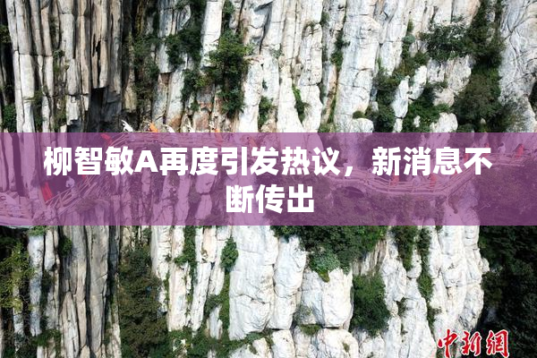 柳智敏A再度引发热议，新消息不断传出