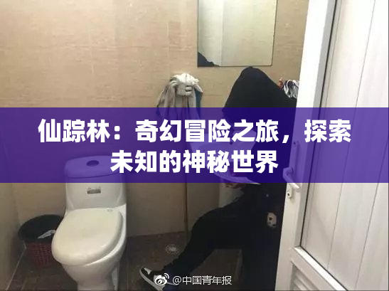 仙踪林：奇幻冒险之旅，探索未知的神秘世界