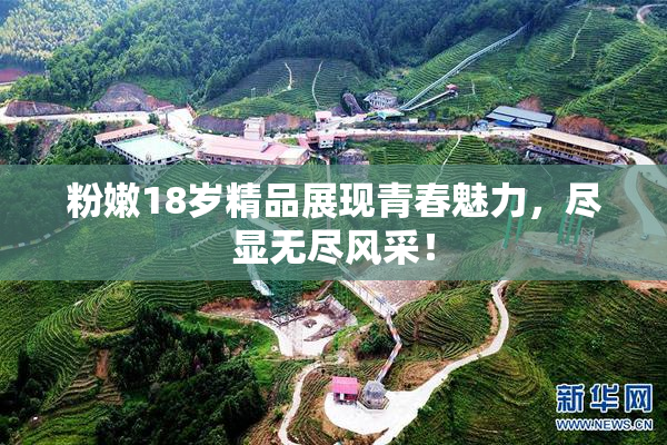 粉嫩18岁精品展现青春魅力，尽显无尽风采！