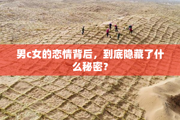 男c女的恋情背后，到底隐藏了什么秘密？