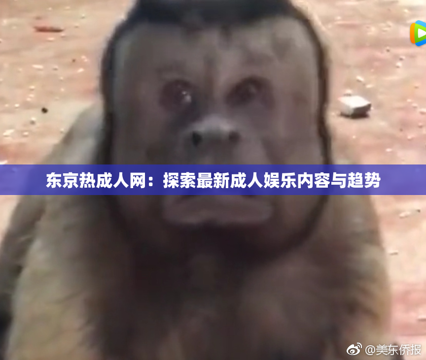 东京热成人网：探索最新成人娱乐内容与趋势