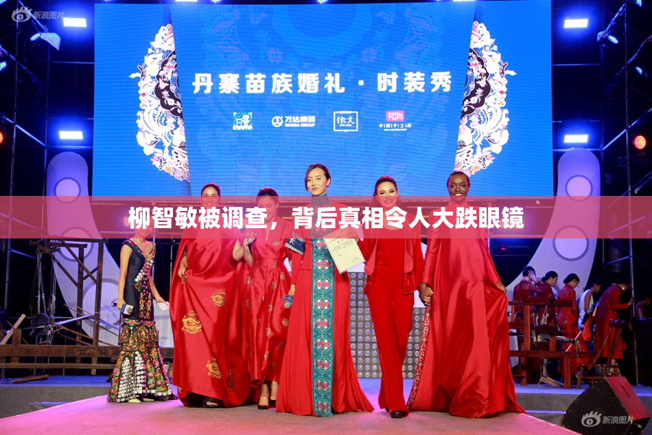 柳智敏被调查，背后真相令人大跌眼镜