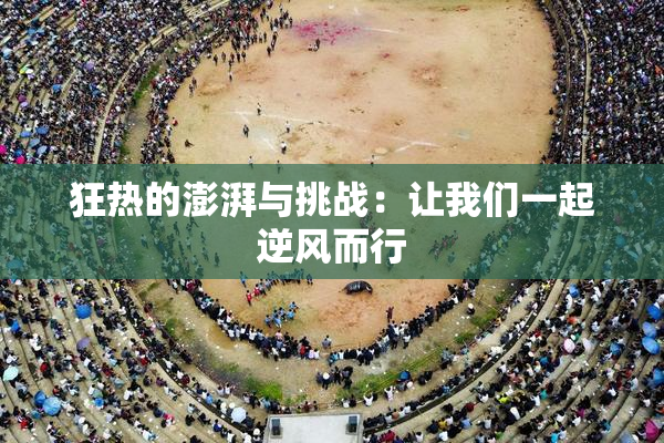 狂热的澎湃与挑战：让我们一起逆风而行