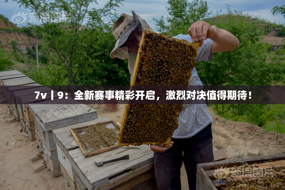 7v丨9：全新赛事精彩开启，激烈对决值得期待！