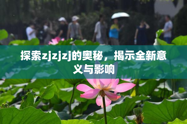 探索zjzjzj的奥秘，揭示全新意义与影响