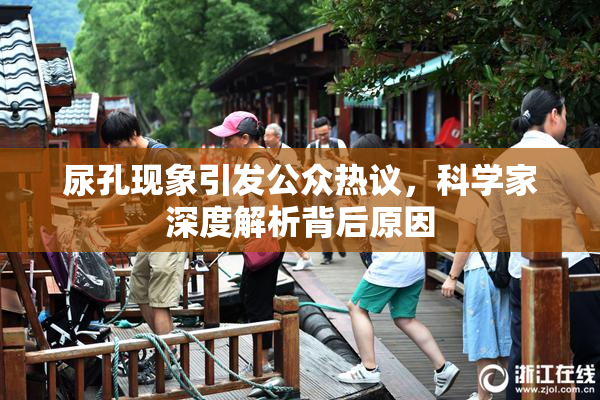 尿孔现象引发公众热议，科学家深度解析背后原因