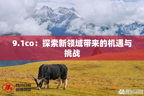 9.1co：探索新领域带来的机遇与挑战
