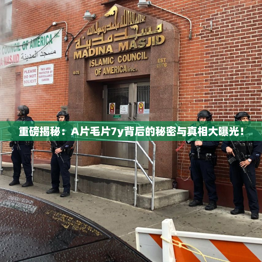 重磅揭秘：A片毛片7y背后的秘密与真相大曝光！