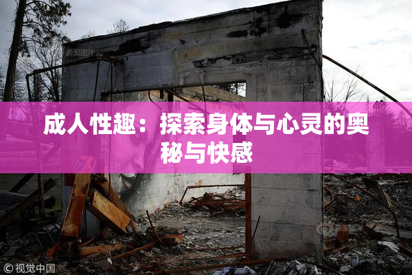 成人性趣：探索身体与心灵的奥秘与快感
