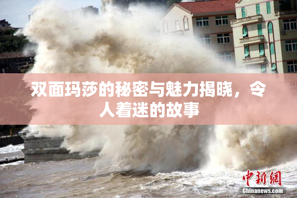 双面玛莎的秘密与魅力揭晓，令人着迷的故事