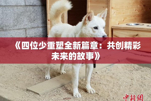 《四位少重塑全新篇章：共创精彩未来的故事》