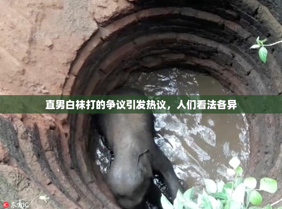 直男白袜打的争议引发热议，人们看法各异