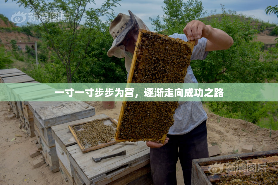 一寸一寸步步为营，逐渐走向成功之路