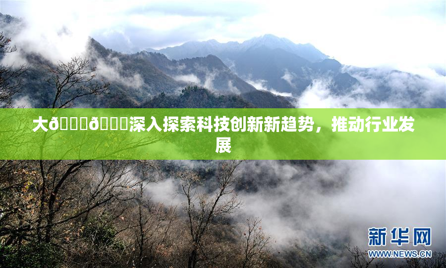 大🐔🐔深入探索科技创新新趋势，推动行业发展