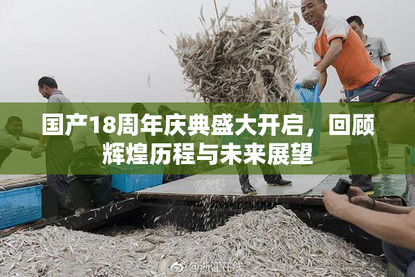 国产18周年庆典盛大开启，回顾辉煌历程与未来展望