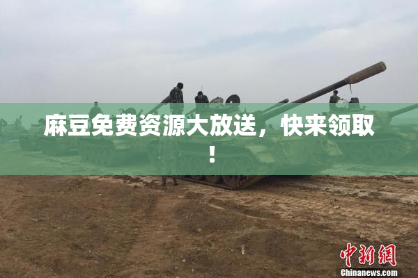 麻豆免费资源大放送，快来领取！