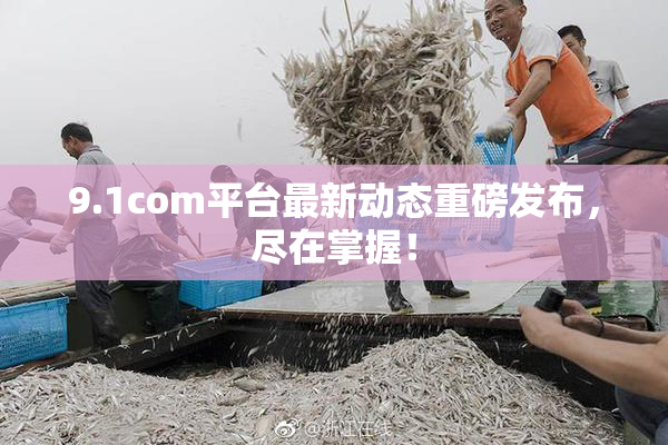 9.1com平台最新动态重磅发布，尽在掌握！