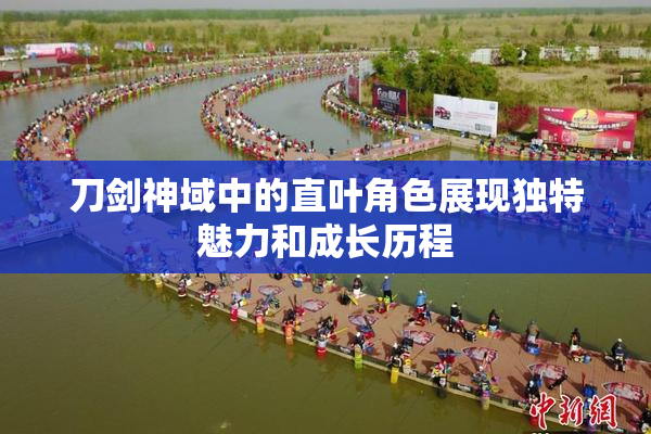 刀剑神域中的直叶角色展现独特魅力和成长历程