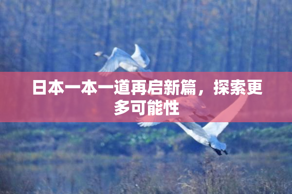 日本一本一道再启新篇，探索更多可能性