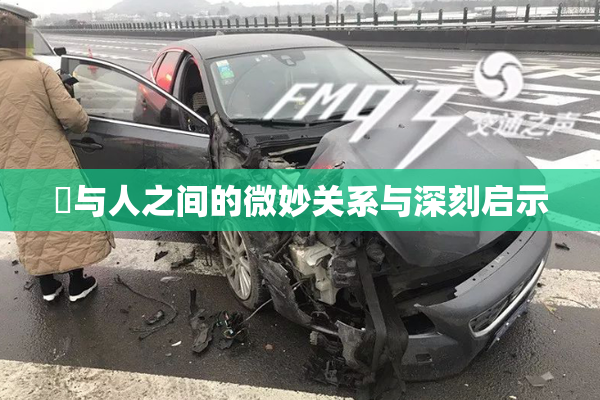 嘼与人之间的微妙关系与深刻启示