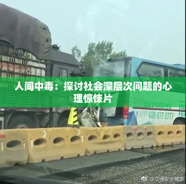 人间中毒：探讨社会深层次问题的心理惊悚片