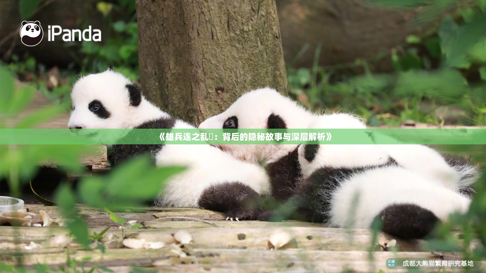 《雄兵连之乱婬：背后的隐秘故事与深层解析》