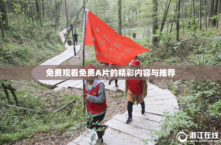 免费观看免费A片的精彩内容与推荐