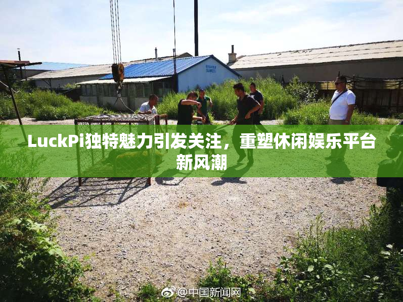 LuckPi独特魅力引发关注，重塑休闲娱乐平台新风潮