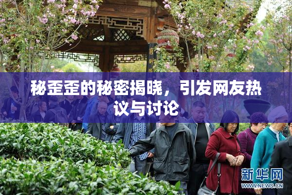 秘歪歪的秘密揭晓，引发网友热议与讨论