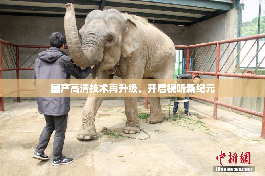 国产高清技术再升级，开启视听新纪元