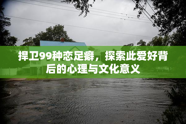 捍卫99种恋足癖，探索此爱好背后的心理与文化意义