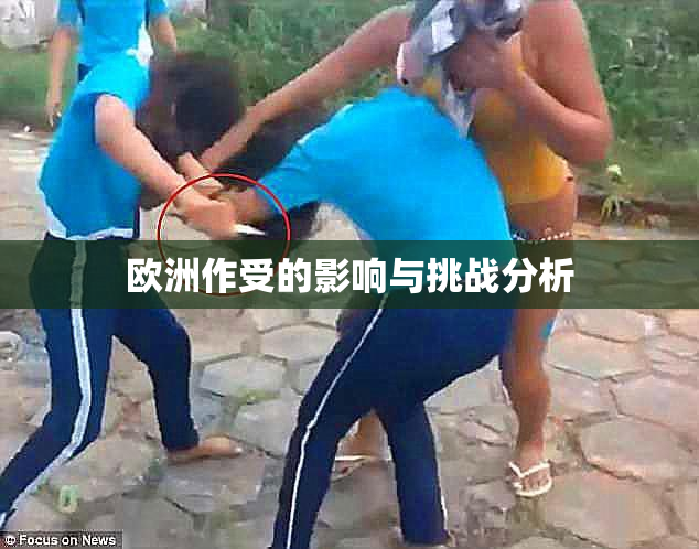 欧洲作受的影响与挑战分析